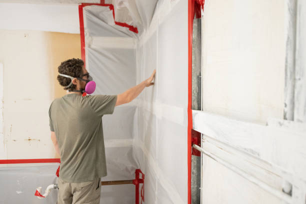 Best Attic Mold Removal  in Warroad, MN