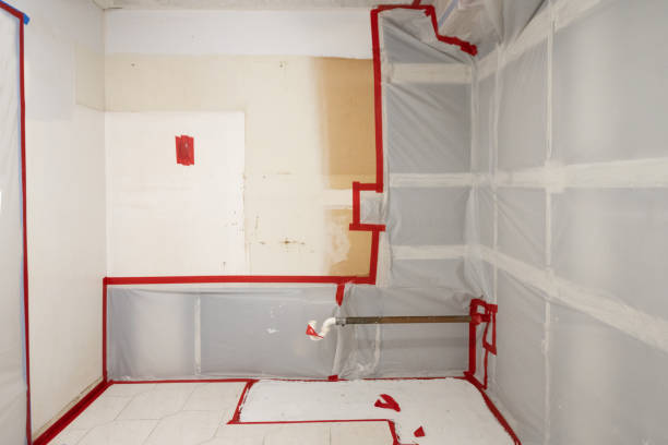 Reliable Warroad, MN Mold Removal Solutions