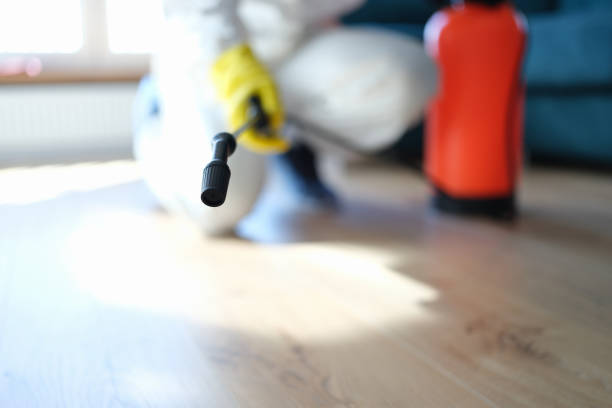 Best Dehumidification Services  in Warroad, MN
