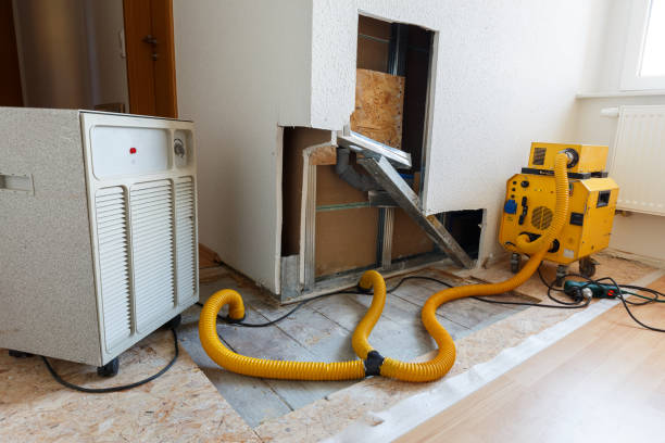 Best Mold Remediation for Rental Properties  in Warroad, MN