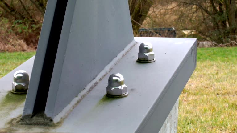 Best Commercial Mold Inspection  in Warroad, MN