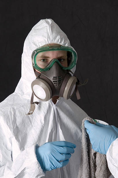 Best Emergency Mold Remediation  in Warroad, MN